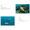 Chasing Dory Underwater Drone - Underwater Drone Dory Chasing